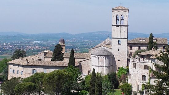 assisi-ltv-3